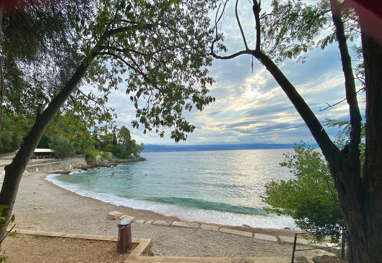 Villa Lovran - 150M To The Beach - Infinity Pool - Incredible Sea View - Fitness Room